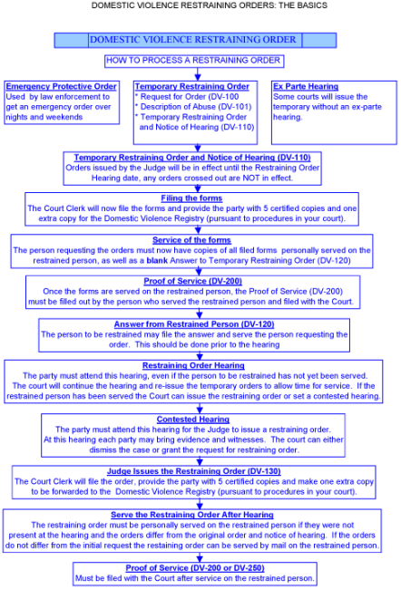 Domestic violence flow chart